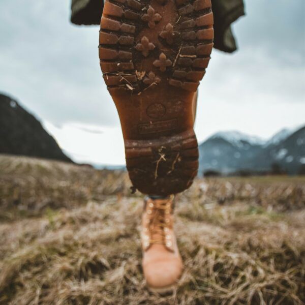 60424314_2778743402196922_7312726135530323968_o