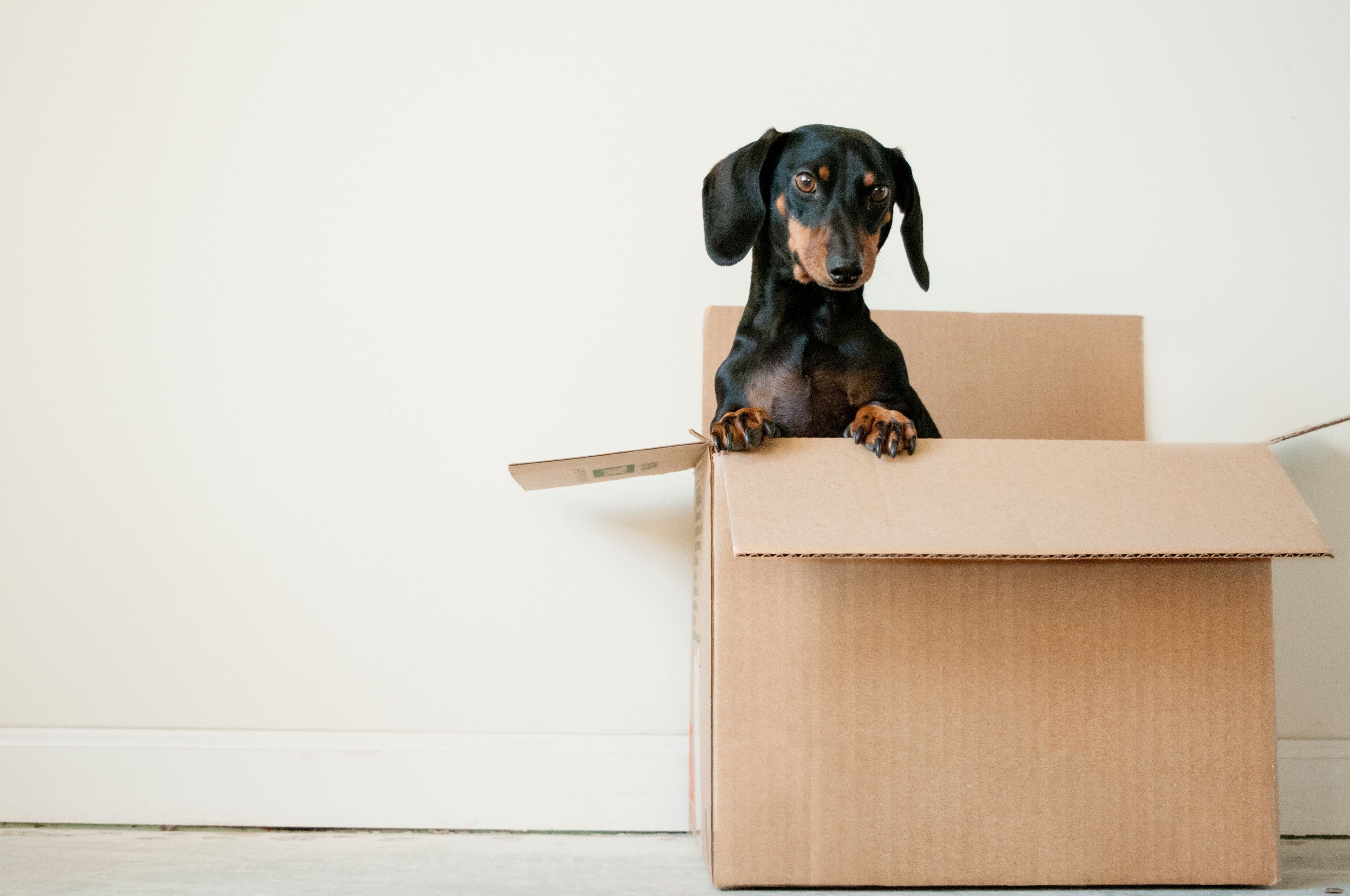 Top-Courier-Services-for-Students-in-Spain