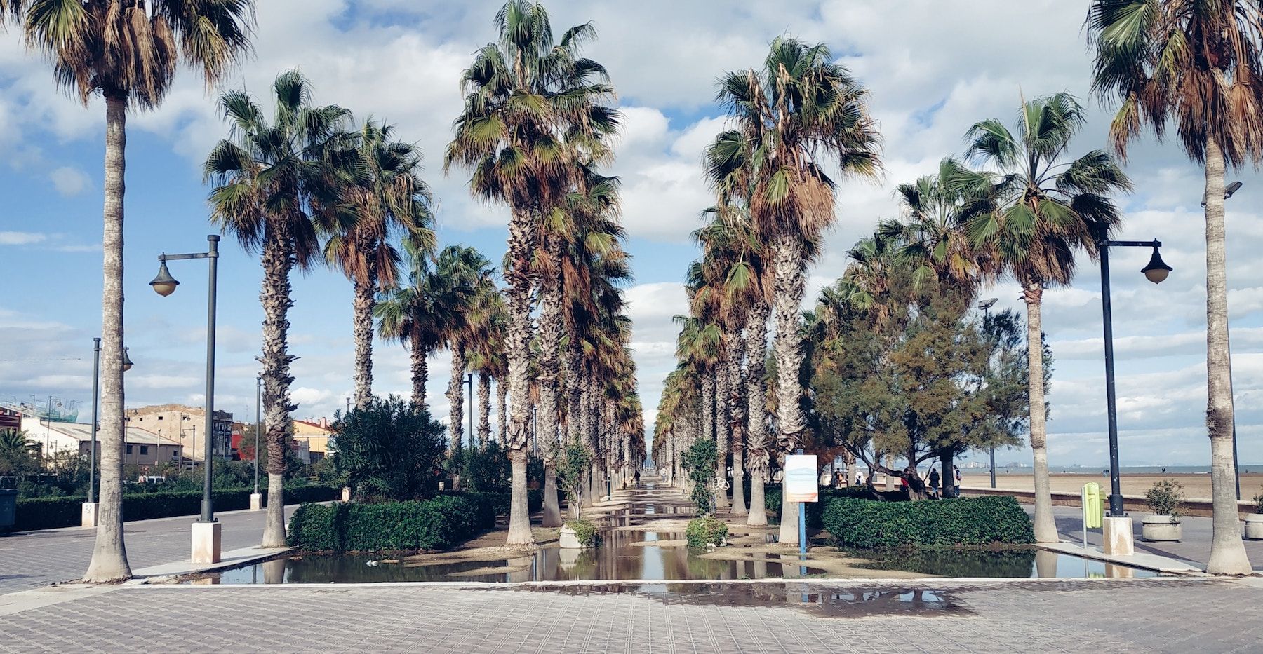 a-donde-llevar-a-tu-familia-en-valencia-4