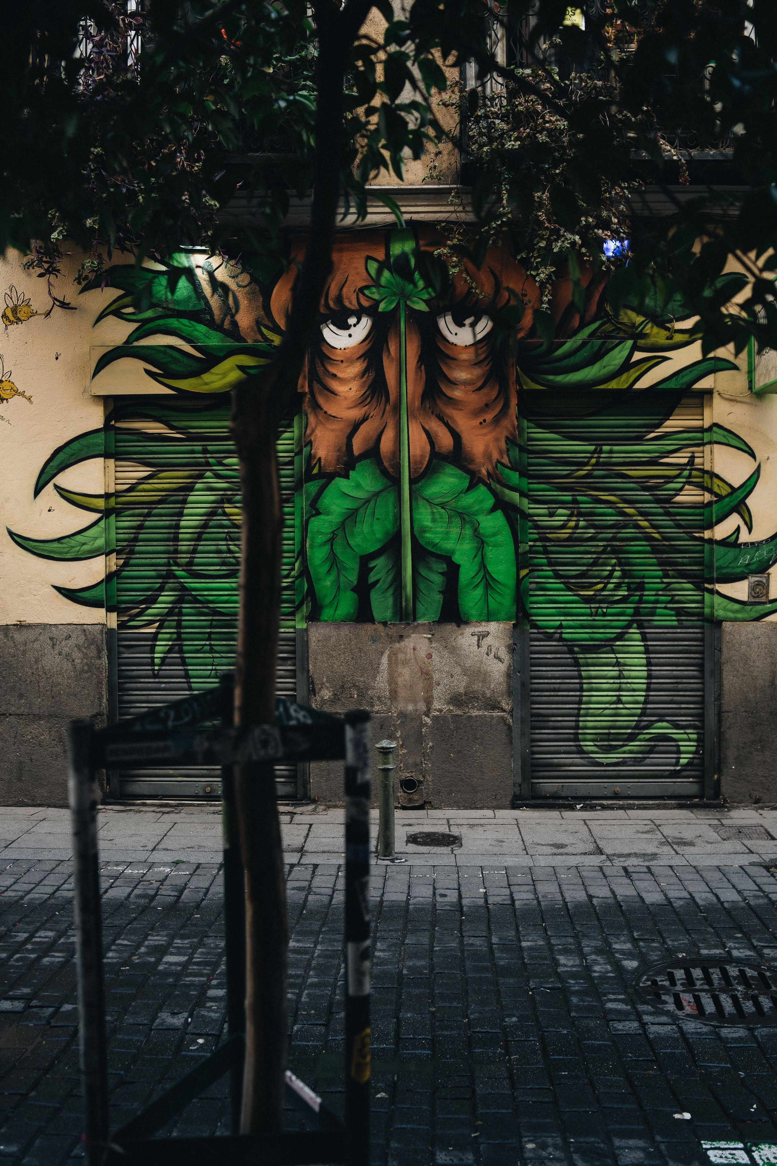 jorge-fernandez-ZcAW6lPw2E8-unsplash