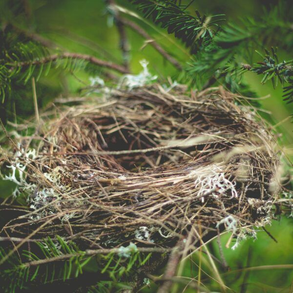 luke-brugger-ZWZdoy2hoNE-unsplash-1