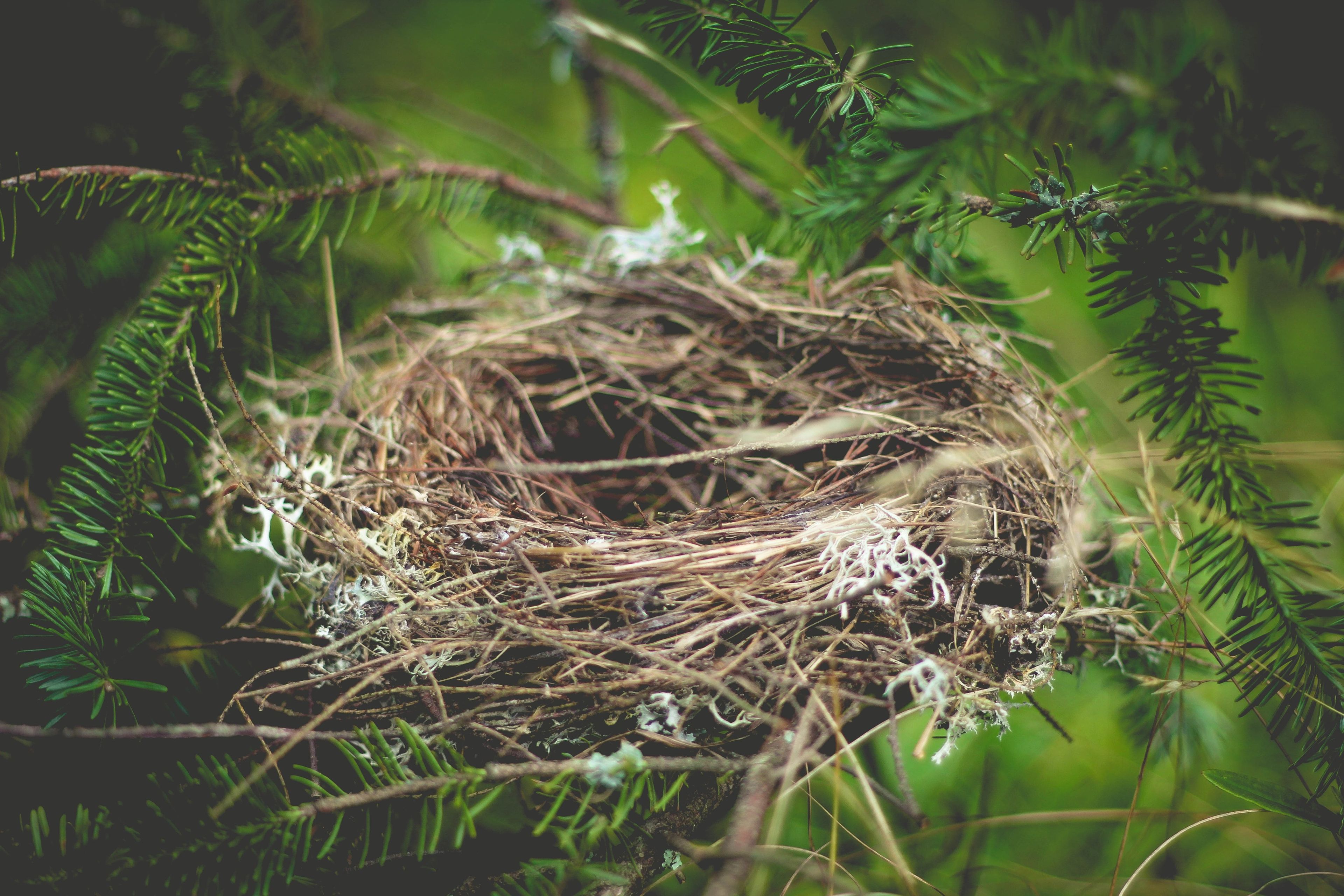 luke-brugger-ZWZdoy2hoNE-unsplash-1