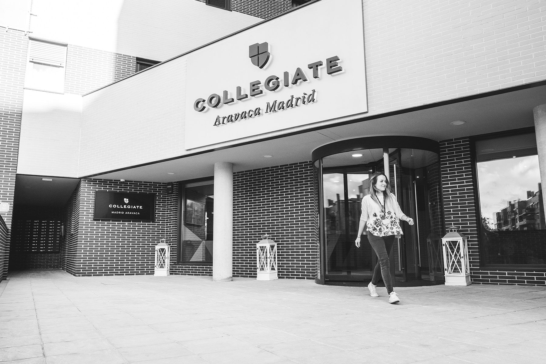 consejos universidad