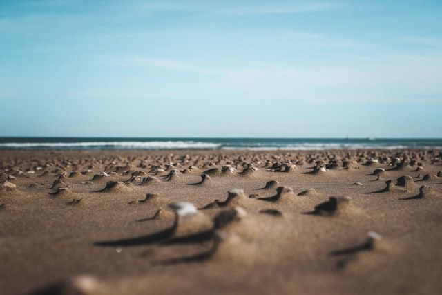 mejores calas de Valencia