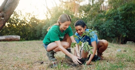 summer volunteering