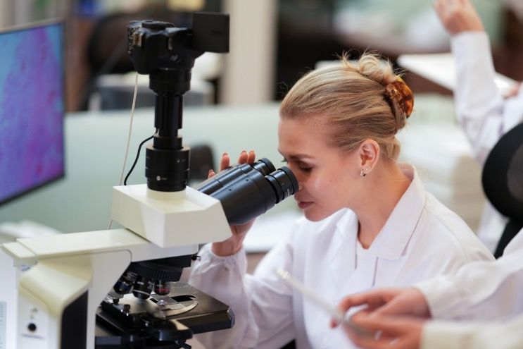 practicas para estudiantes